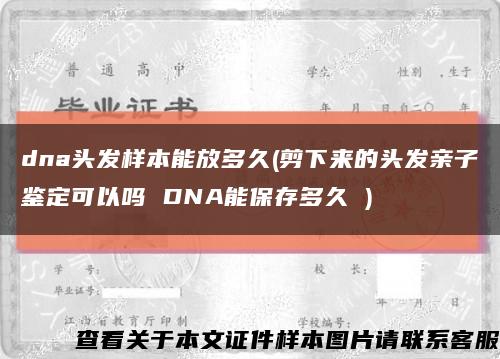 dna头发样本能放多久(剪下来的头发亲子鉴定可以吗 DNA能保存多久 )缩略图