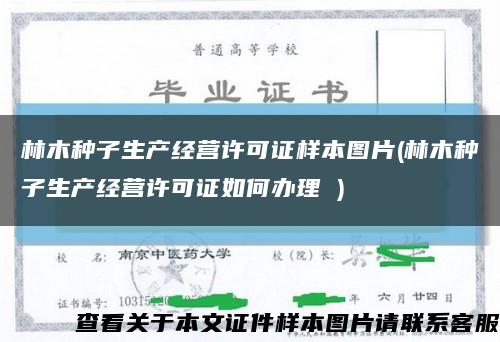 林木种子生产经营许可证样本图片(林木种子生产经营许可证如何办理 )缩略图