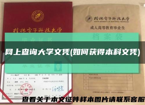 网上查询大学文凭(如何获得本科文凭)缩略图