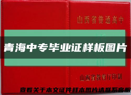 青海中专毕业证样板图片缩略图