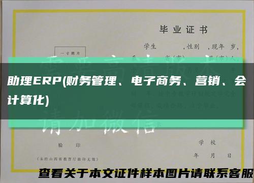 助理ERP(财务管理、电子商务、营销、会计算化)缩略图