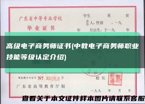 高级电子商务师证书(中教电子商务师职业技能等级认定介绍)缩略图