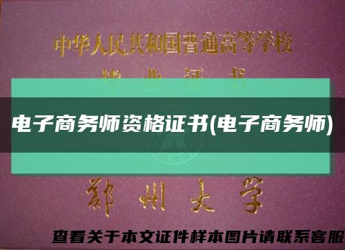 电子商务师资格证书(电子商务师)缩略图