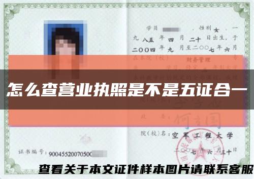 怎么查营业执照是不是五证合一缩略图