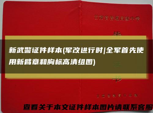 新武警证件样本(军改进行时|全军首先使用新臂章和胸标高清组图)缩略图