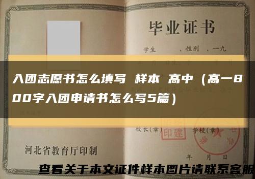 入团志愿书怎么填写 样本 高中（高一800字入团申请书怎么写5篇）缩略图