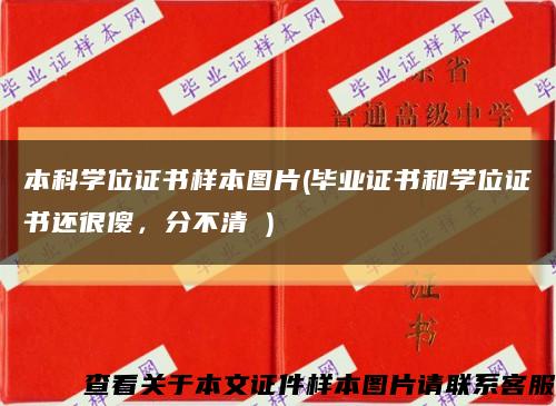 本科学位证书样本图片(毕业证书和学位证书还很傻，分不清 )缩略图