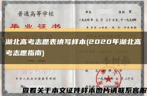 湖北高考志愿表填写样本(2020年湖北高考志愿指南)缩略图