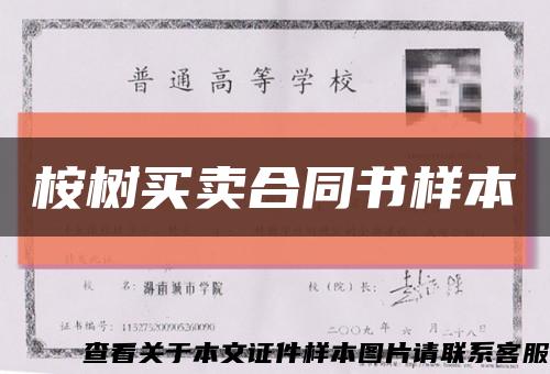 桉树买卖合同书样本缩略图