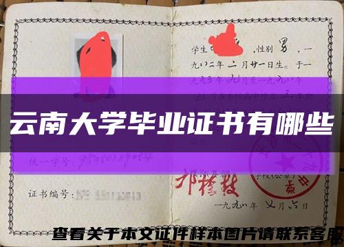 云南大学毕业证书有哪些缩略图