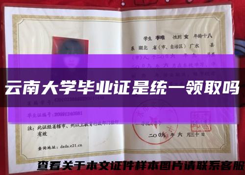 云南大学毕业证是统一领取吗缩略图