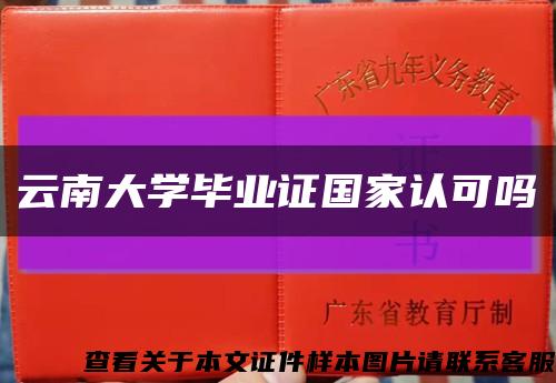 云南大学毕业证国家认可吗缩略图