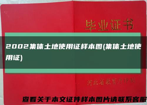 2002集体土地使用证样本图(集体土地使用证)缩略图