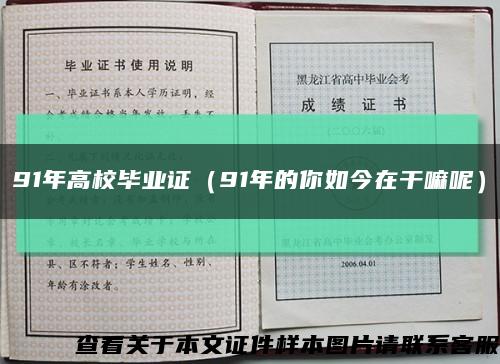 91年高校毕业证（91年的你如今在干嘛呢）缩略图