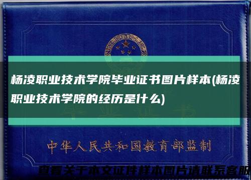 杨凌职业技术学院毕业证书图片样本(杨凌职业技术学院的经历是什么)缩略图