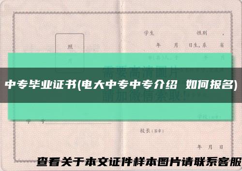 中专毕业证书(电大中专中专介绍 如何报名)缩略图