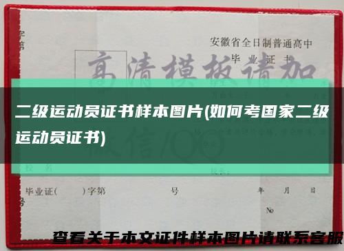 二级运动员证书样本图片(如何考国家二级运动员证书)缩略图