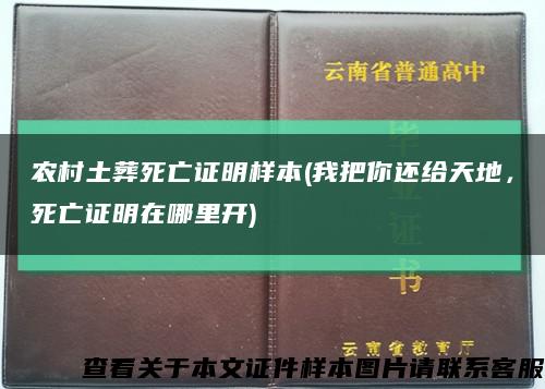 农村土葬死亡证明样本(我把你还给天地，死亡证明在哪里开)缩略图