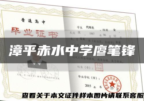 漳平赤水中学廖笔锋缩略图