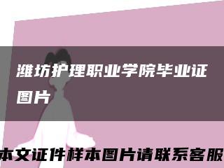 潍坊护理职业学院毕业证图片缩略图