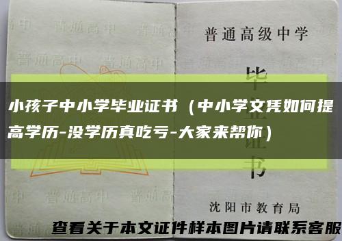 小孩子中小学毕业证书（中小学文凭如何提高学历-没学历真吃亏-大家来帮你）缩略图