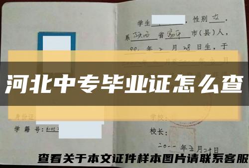 河北中专毕业证怎么查缩略图