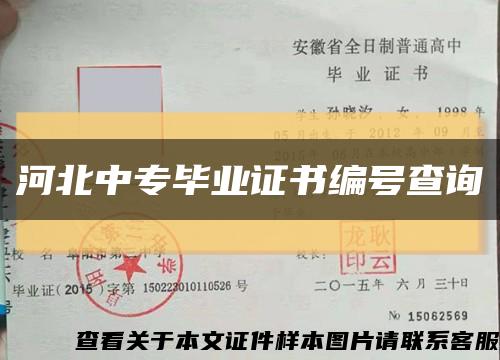 河北中专毕业证书编号查询缩略图