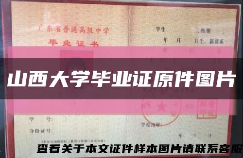 山西大学毕业证原件图片缩略图