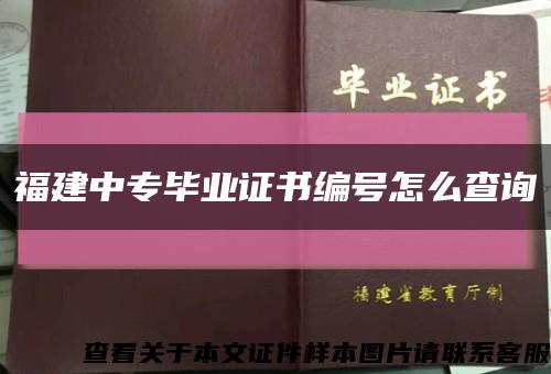 福建中专毕业证书编号怎么查询缩略图