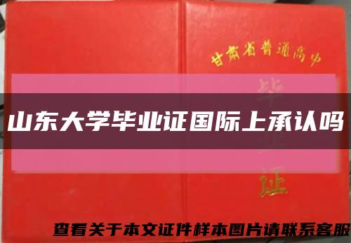 山东大学毕业证国际上承认吗缩略图