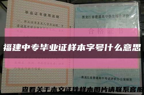 福建中专毕业证样本字号什么意思缩略图