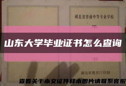 山东大学毕业证书怎么查询缩略图