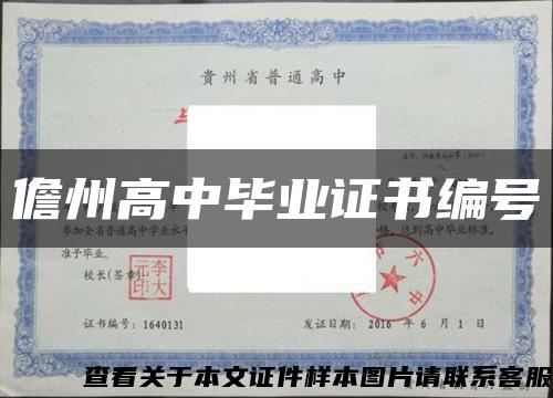 儋州高中毕业证书编号缩略图