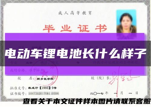 电动车锂电池长什么样子缩略图