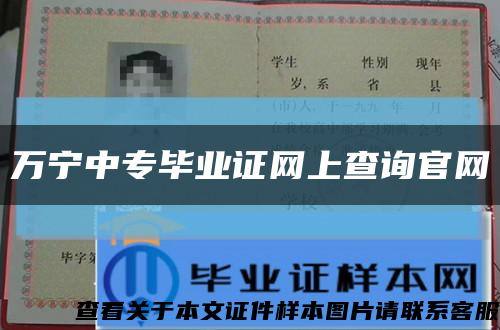 万宁中专毕业证网上查询官网缩略图