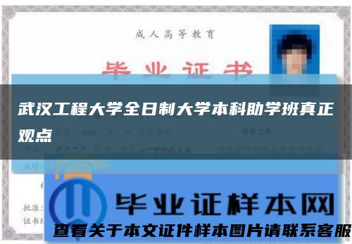 武汉工程大学全日制大学本科助学班真正观点缩略图