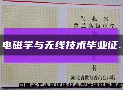 电磁学与无线技术毕业证.缩略图