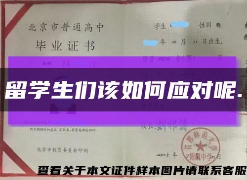 留学生们该如何应对呢.缩略图