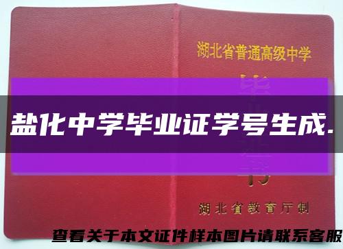 盐化中学毕业证学号生成.缩略图