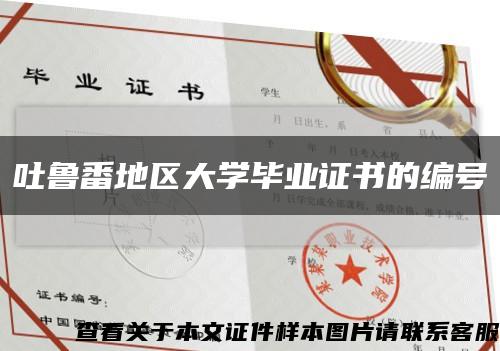 吐鲁番地区大学毕业证书的编号缩略图