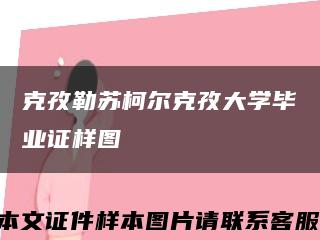 克孜勒苏柯尔克孜大学毕业证样图缩略图