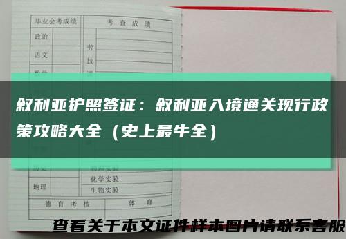 叙利亚护照签证：叙利亚入境通关现行政策攻略大全（史上最牛全）缩略图