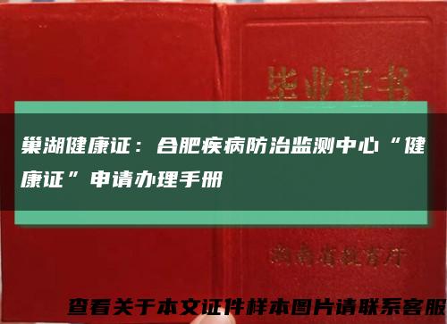 巢湖健康证：合肥疾病防治监测中心“健康证”申请办理手册缩略图