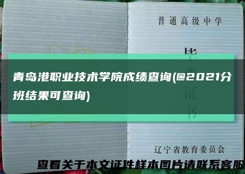 青岛港职业技术学院成绩查询(@2021分班结果可查询)缩略图