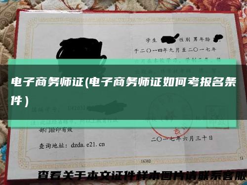 电子商务师证(电子商务师证如何考报名条件）缩略图