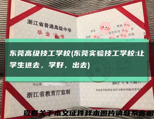 东莞高级技工学校(东莞实验技工学校:让学生进去，学好，出去)缩略图