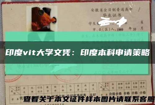 印度vit大学文凭：印度本科申请策略缩略图