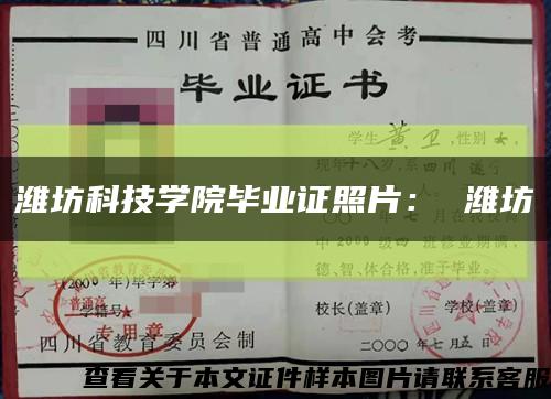 潍坊科技学院毕业证照片： 潍坊缩略图