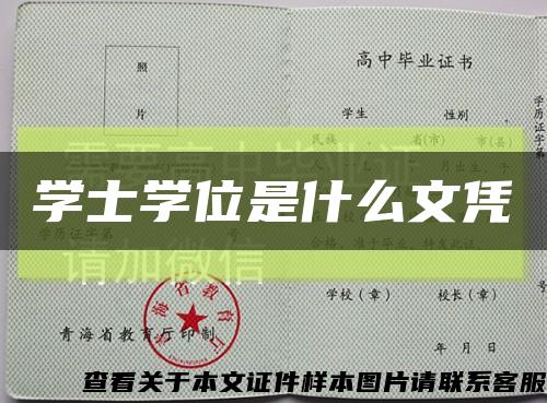 学士学位是什么文凭缩略图