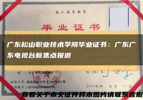 广东松山职业技术学院毕业证书：广东广东电视台新焦点报道缩略图